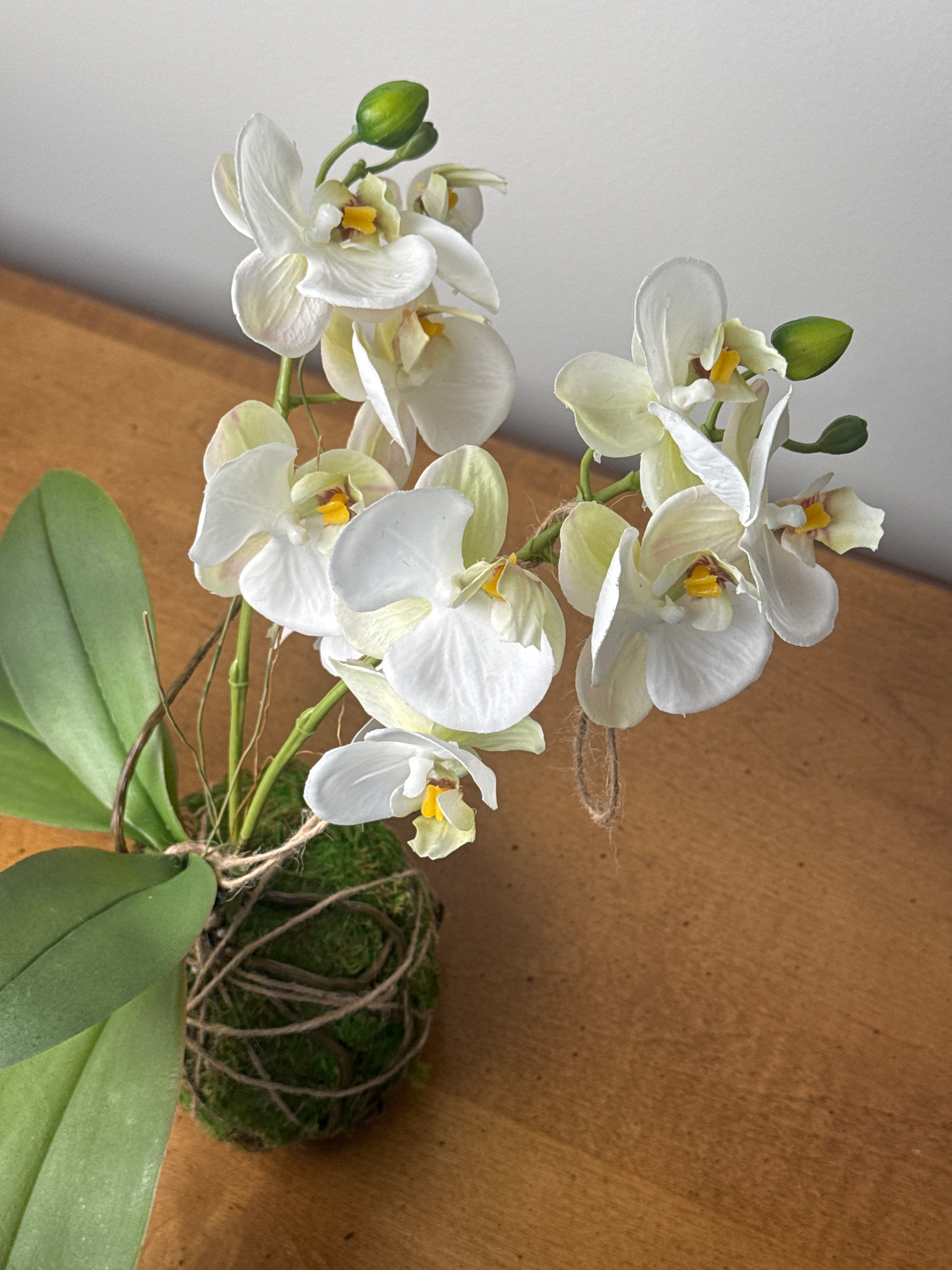 Small Orchid Drop In