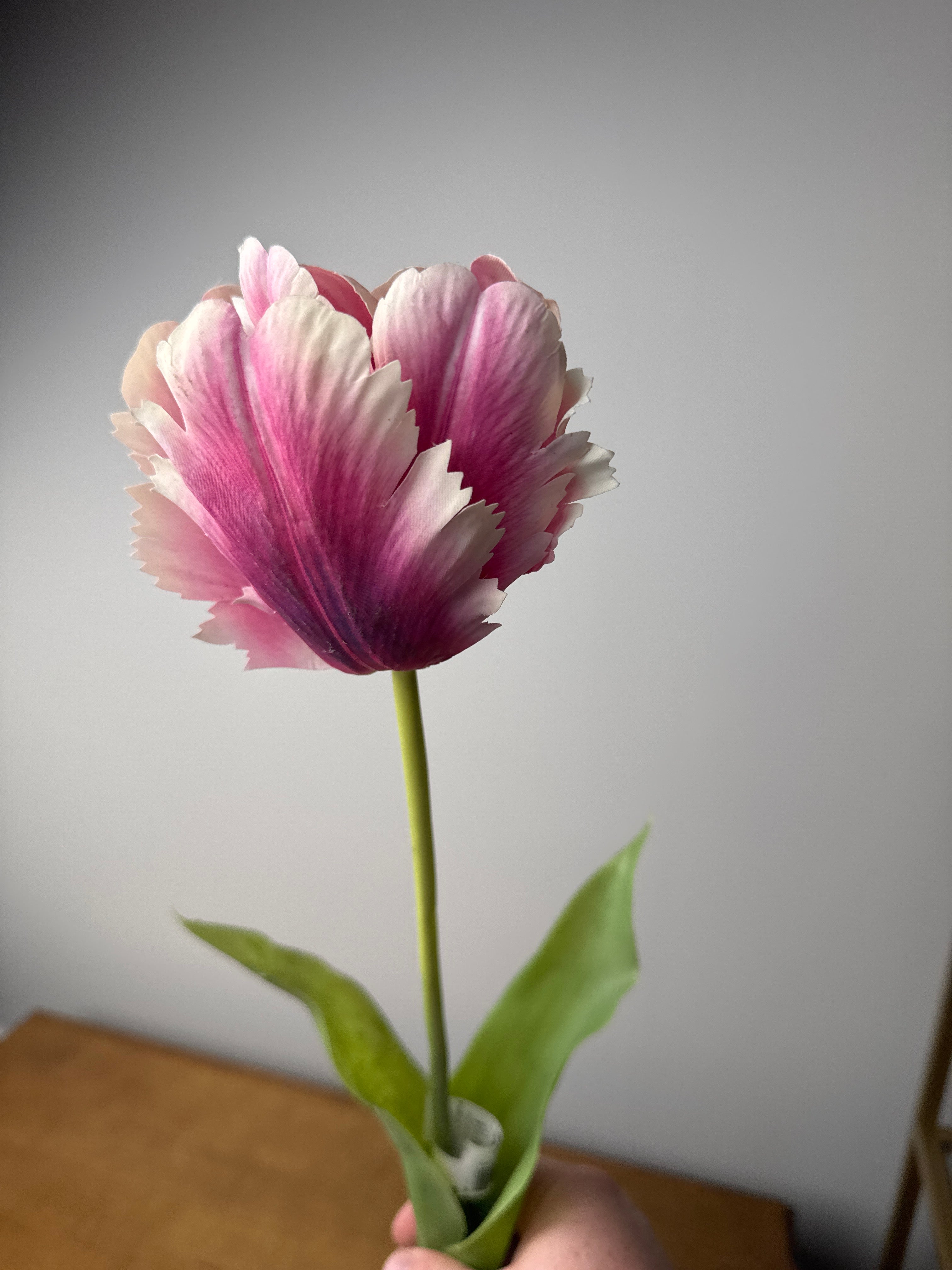 Artificial Parrot Tulip Stem