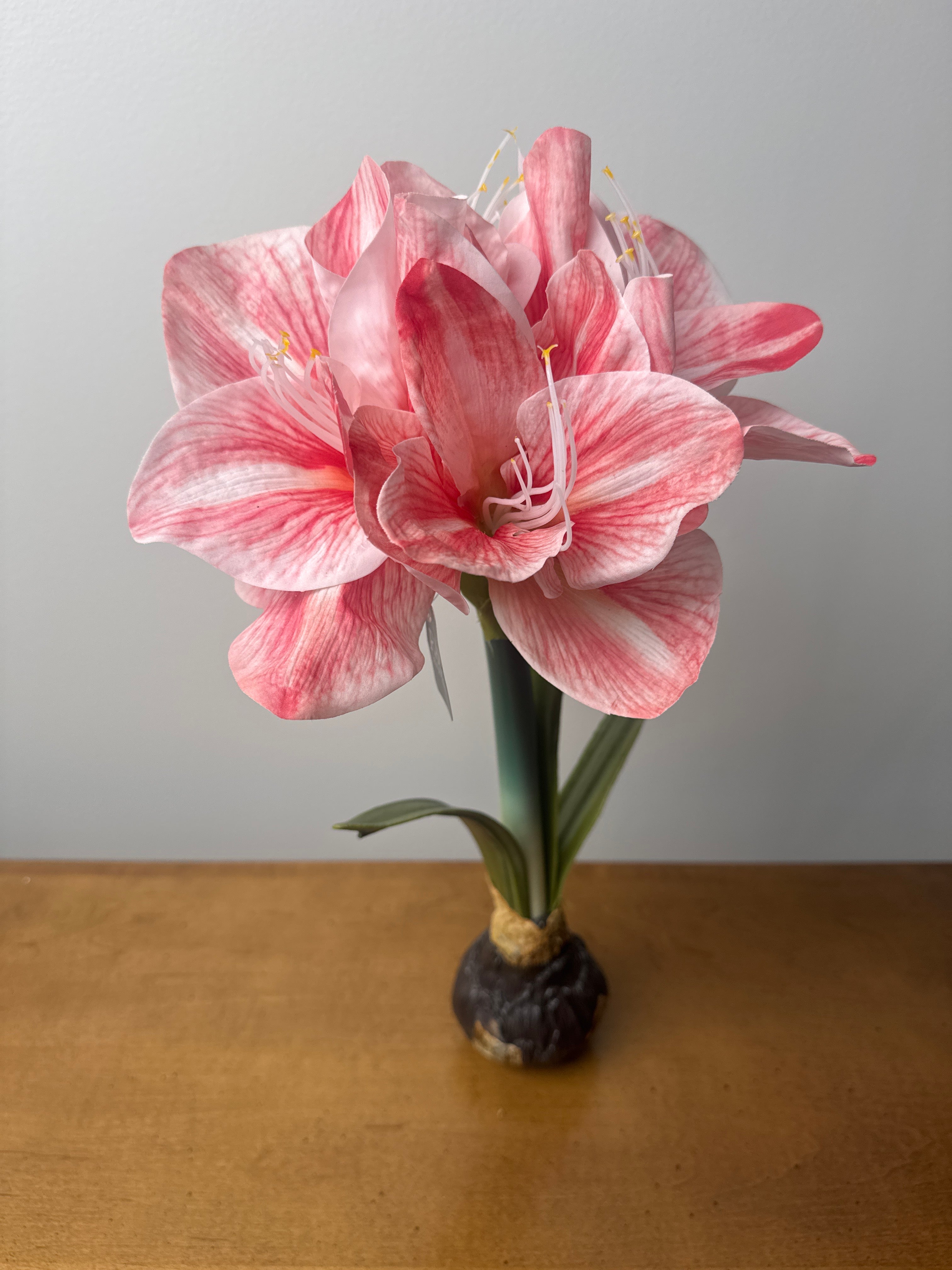 Artificial Amaryllis Bulb