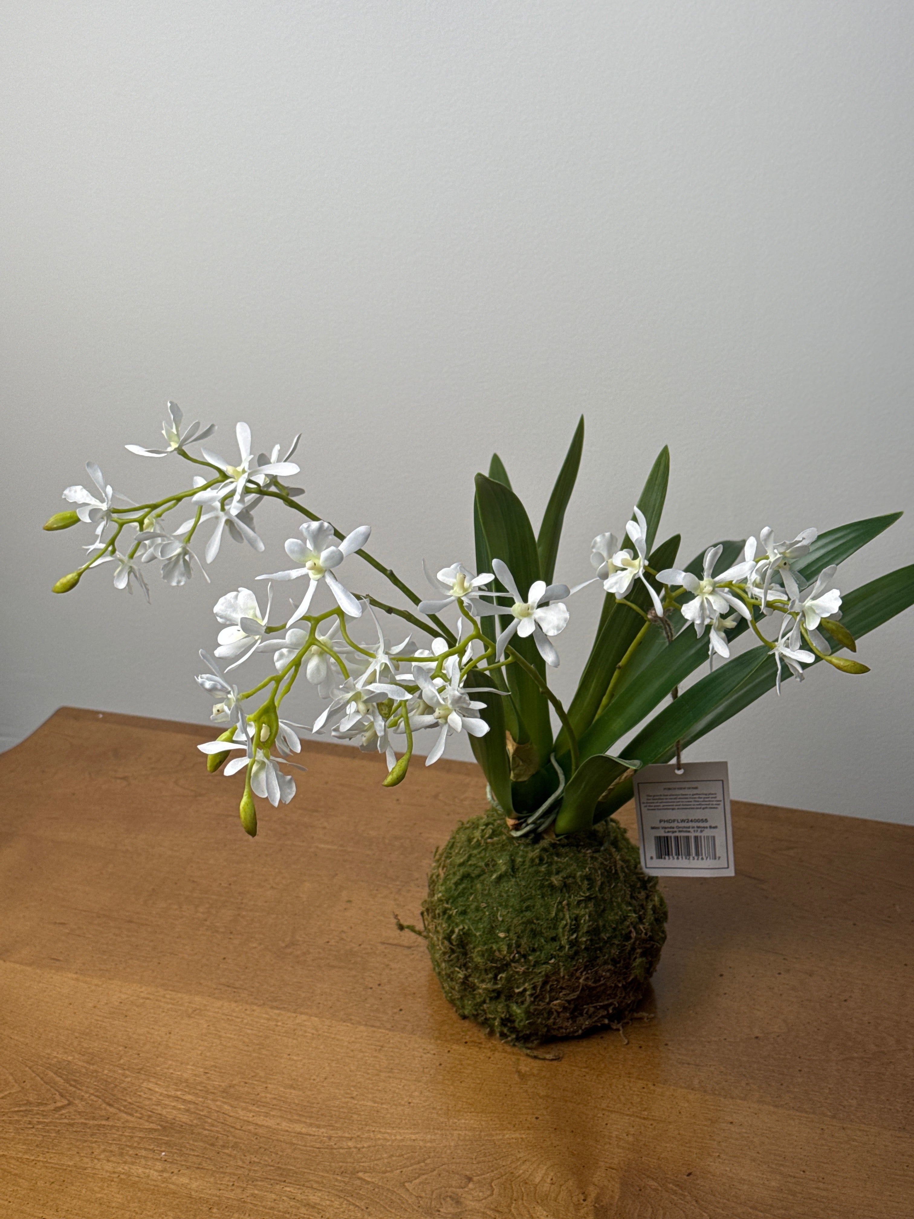White Mini Vanda Orchid Drop In