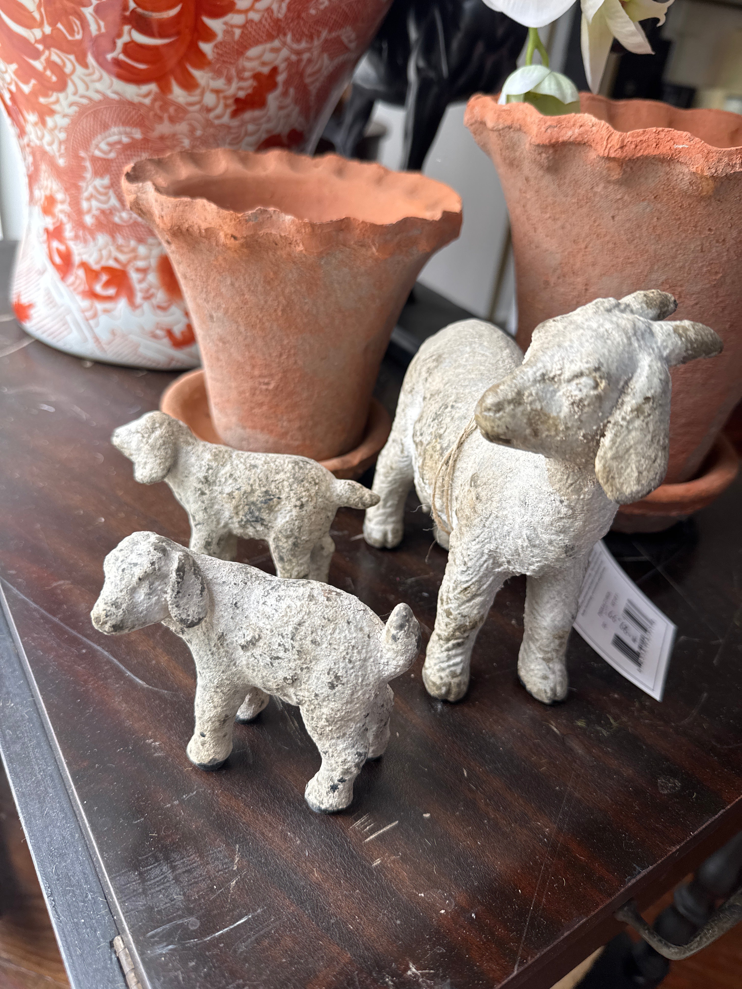 Small Goat Family