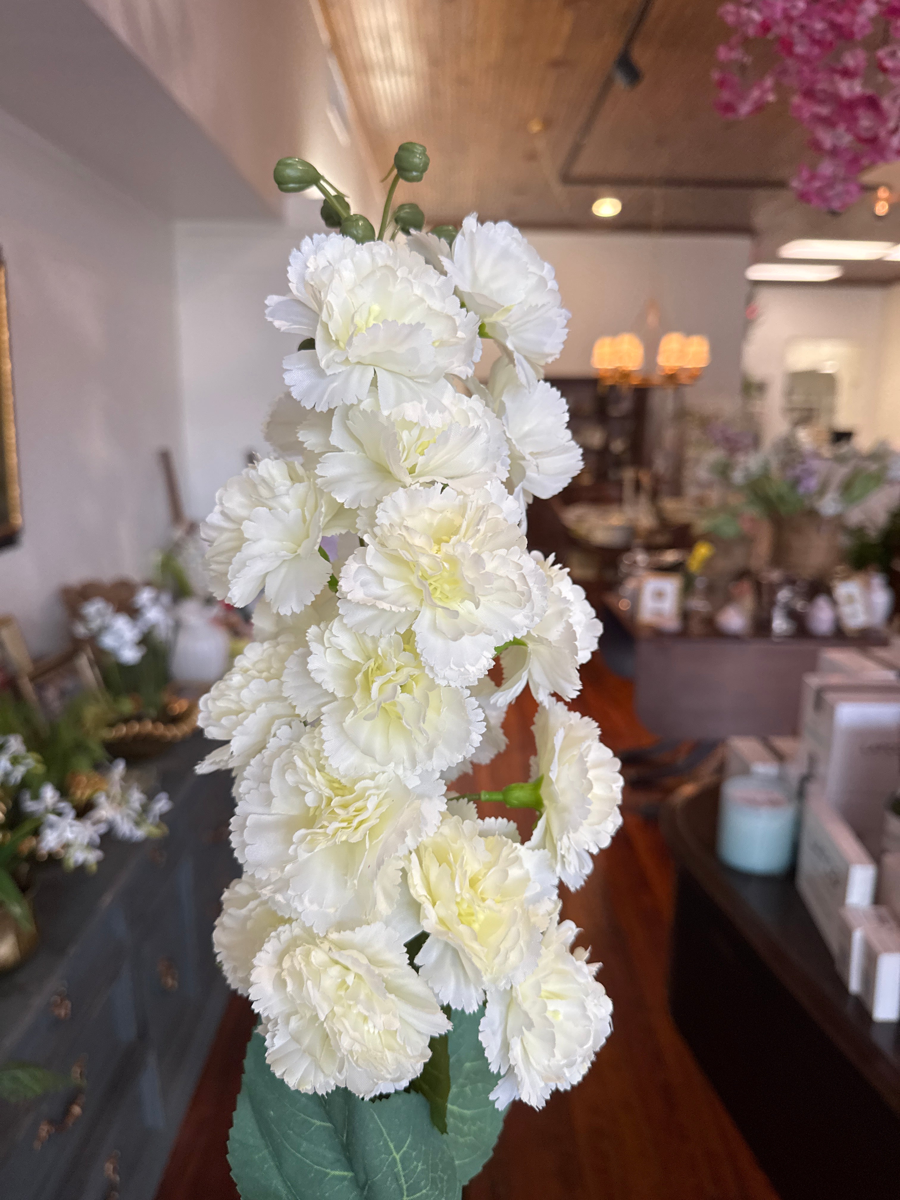 White Hollyhock Stem