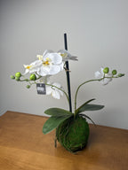 Medium Orchid Drop In