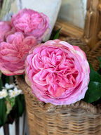 Artificial Pink English Rose