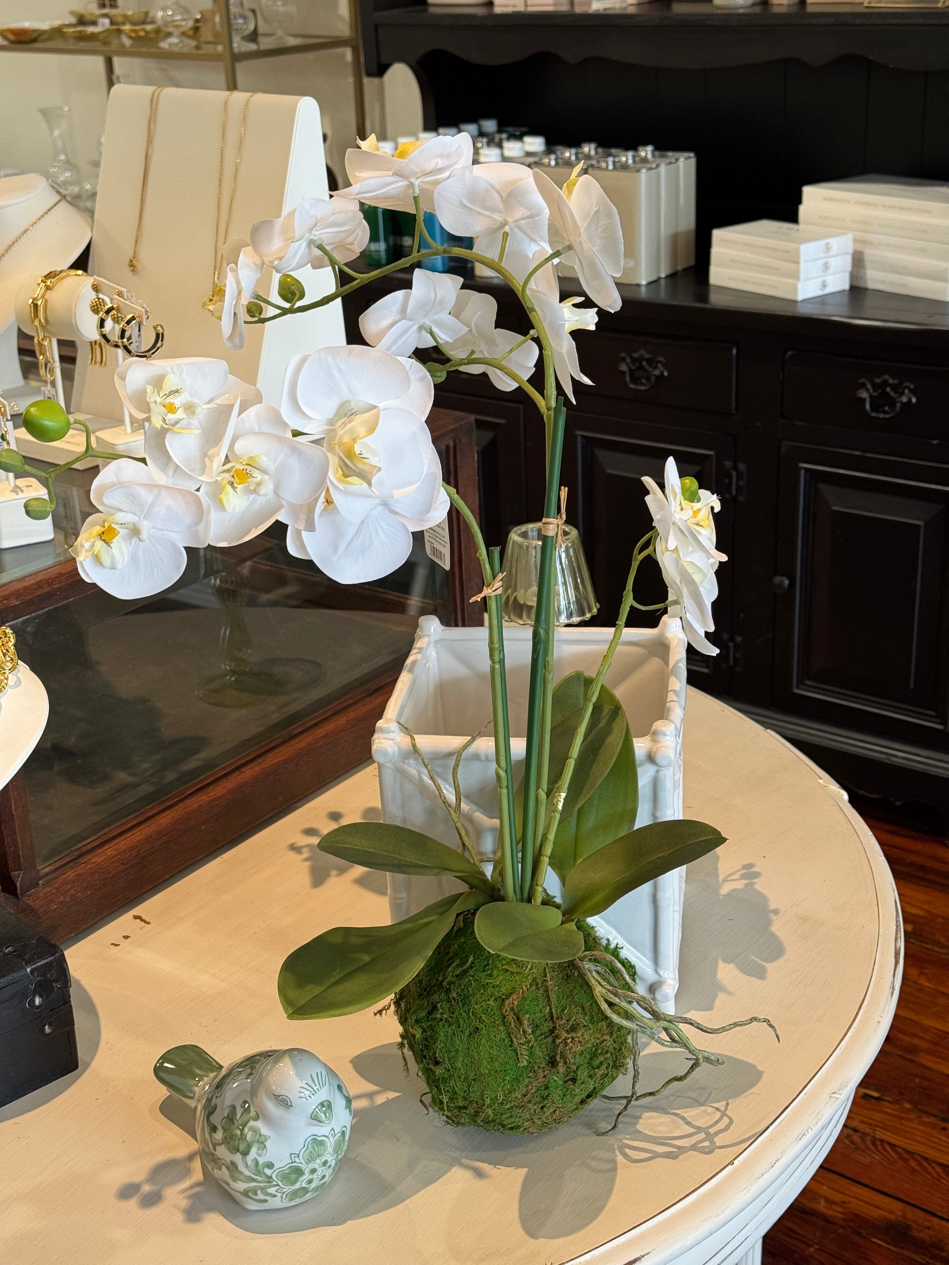 Large Orchid Drop In